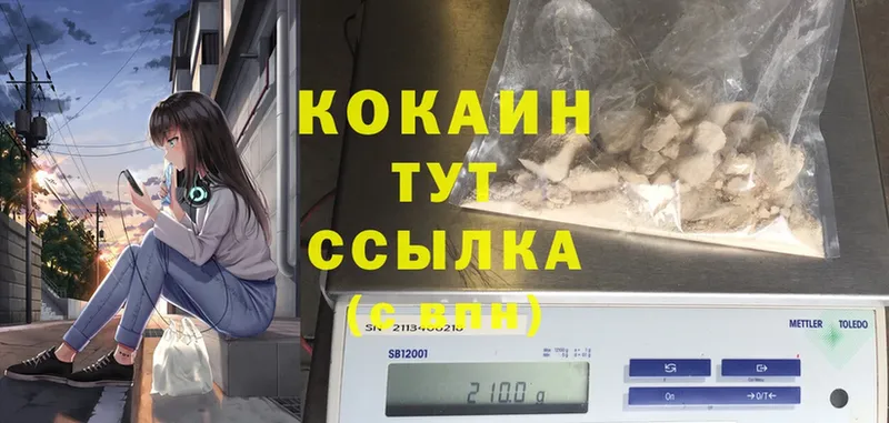 COCAIN Fish Scale Красноярск