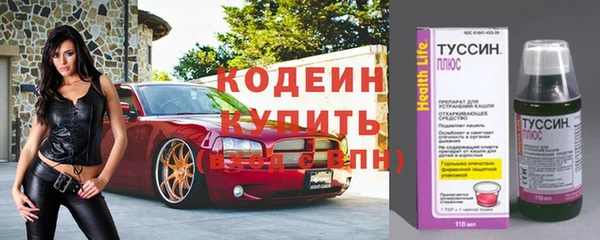 ECSTASY Горняк