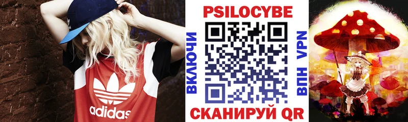 магазин продажи   Красноярск  Псилоцибиновые грибы прущие грибы 
