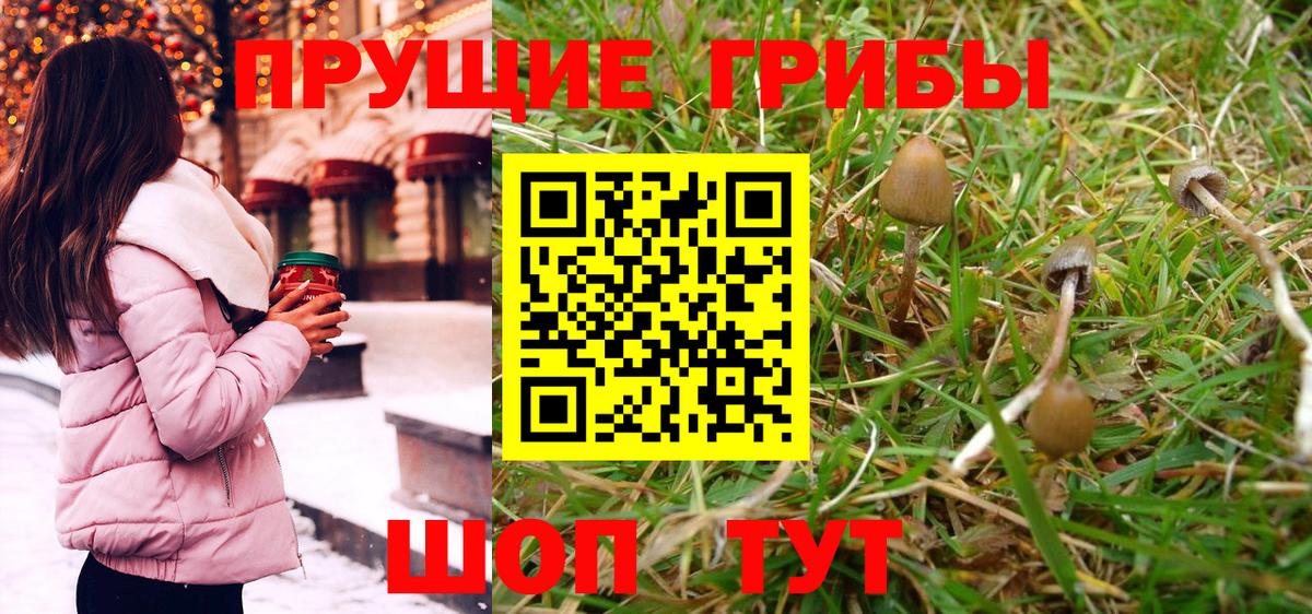 Галлюциногенные грибы ЛСД  Красноярск 