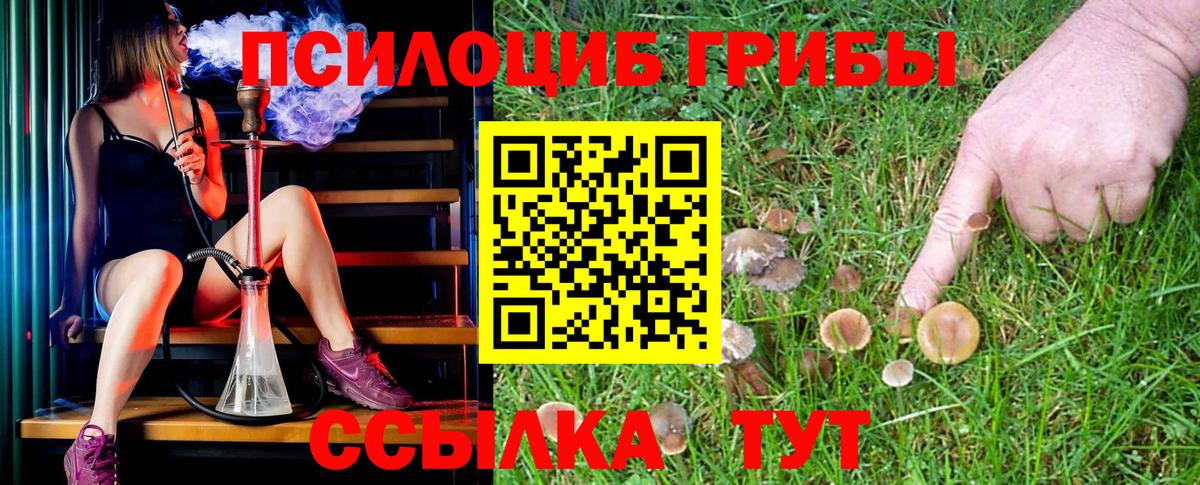 Псилоцибиновые грибы GOLDEN TEACHER Красноярск