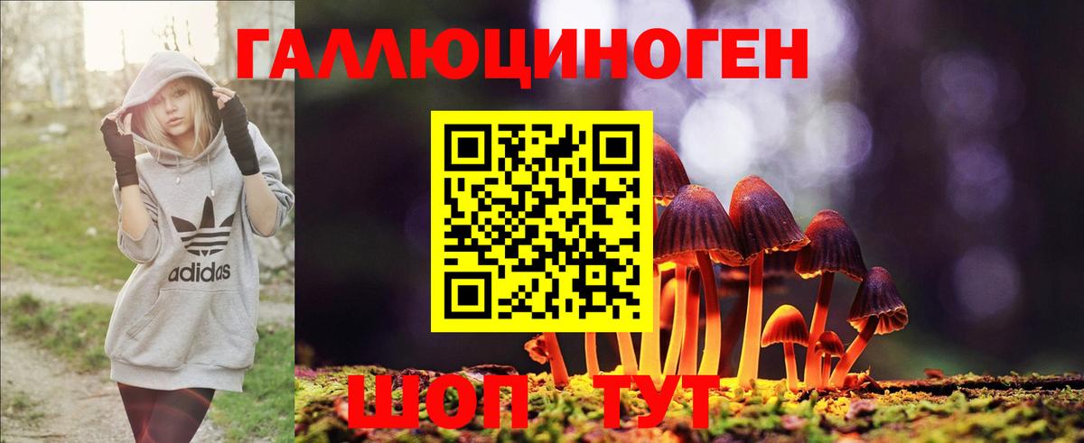 Галлюциногенные грибы GOLDEN TEACHER Красноярск